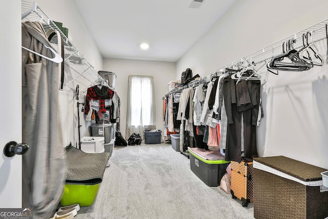 walk in closet featuring carpet floors