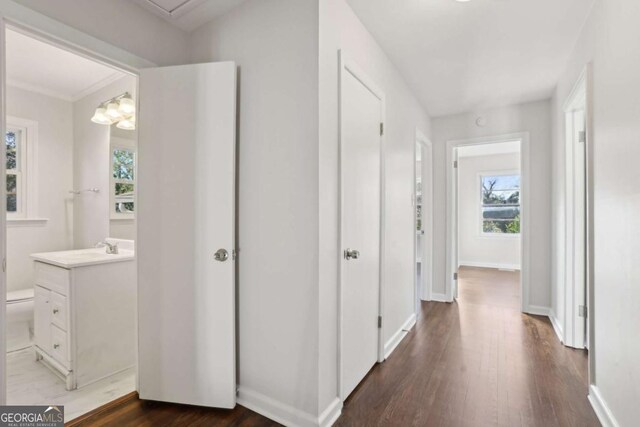 hallway with dark hardwood / wood-style flooring, an inviting chandelier, and sink