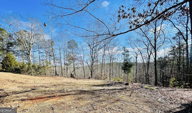 view of local wilderness