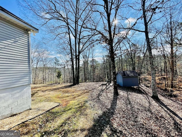 view of yard featuring a shed