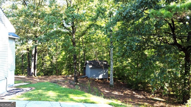 view of yard with a storage unit