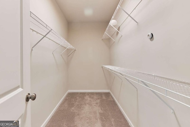 walk in closet featuring light carpet