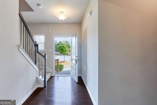 foyer entrance featuring dark wood-type flooring