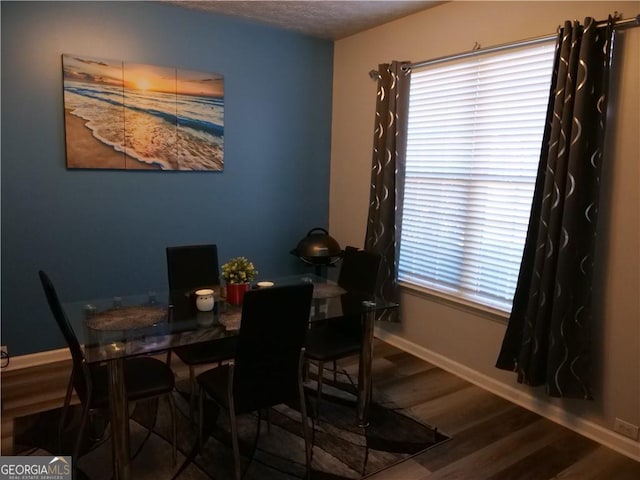 dining room featuring hardwood / wood-style floors and a healthy amount of sunlight