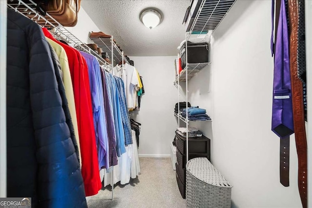 view of spacious closet