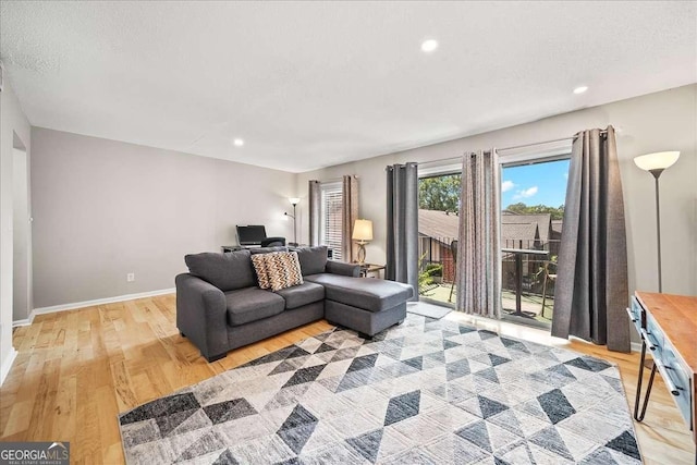 living room with light hardwood / wood-style flooring