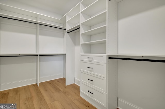 spacious closet featuring light wood-type flooring