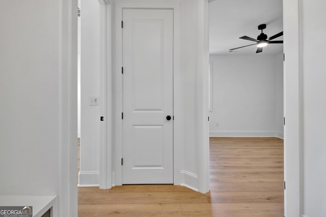 hallway featuring light hardwood / wood-style flooring