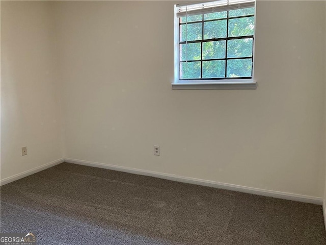 spare room featuring carpet