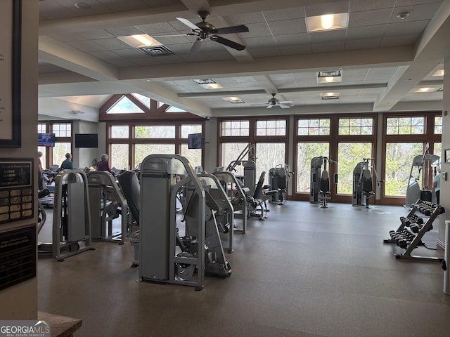 gym with a paneled ceiling, ceiling fan, and plenty of natural light