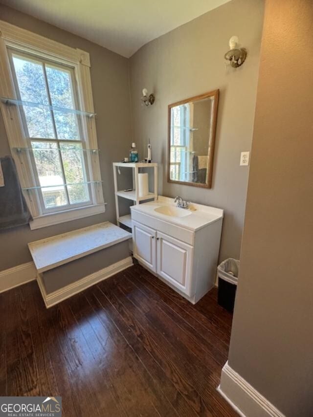 bathroom featuring wood-type flooring and sink