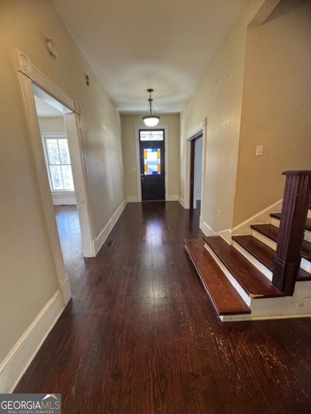 foyer featuring dark wood-type flooring