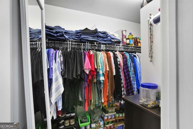 view of spacious closet