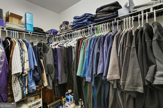 view of spacious closet