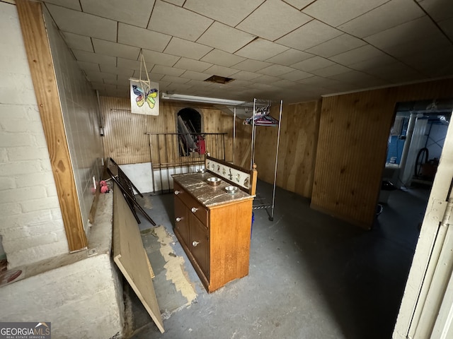 basement featuring wood walls