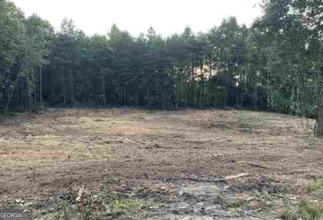 0 Asbestos Rd, Cleveland GA, 30528 land for sale