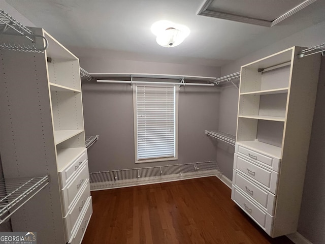 spacious closet with dark wood-type flooring