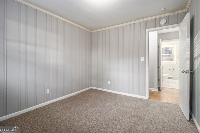 spare room featuring carpet floors and ornamental molding