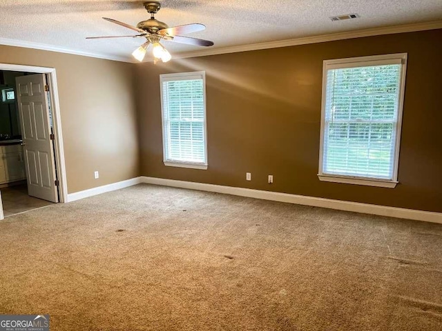 carpeted empty room featuring a wealth of natural light, ceiling fan, and a textured ceiling