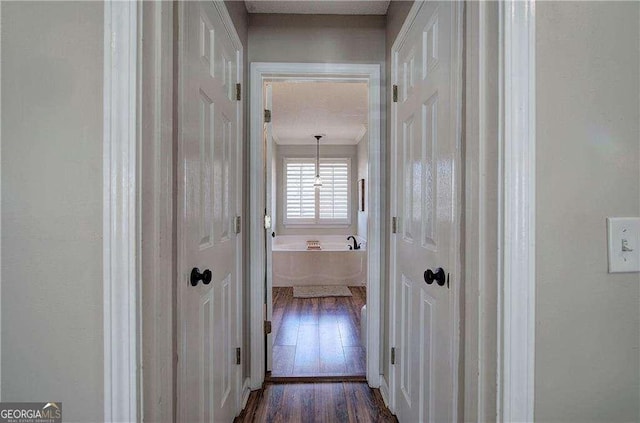 corridor featuring crown molding and dark hardwood / wood-style floors