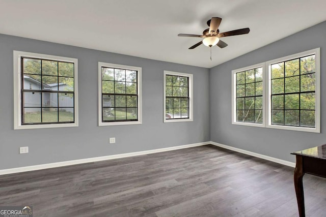 spare room with a wealth of natural light, dark hardwood / wood-style floors, and ceiling fan