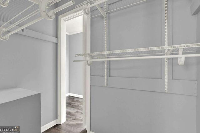 spacious closet featuring hardwood / wood-style flooring