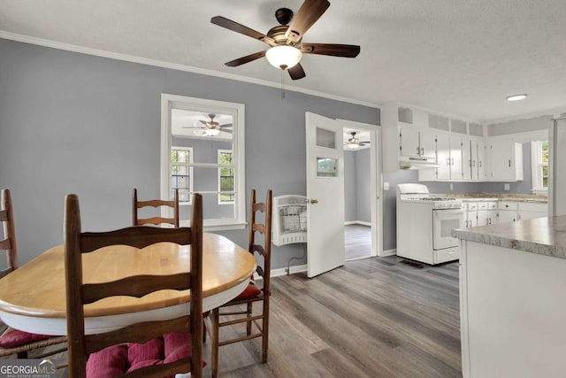 dining area with a textured ceiling, a healthy amount of sunlight, dark hardwood / wood-style floors, and ornamental molding