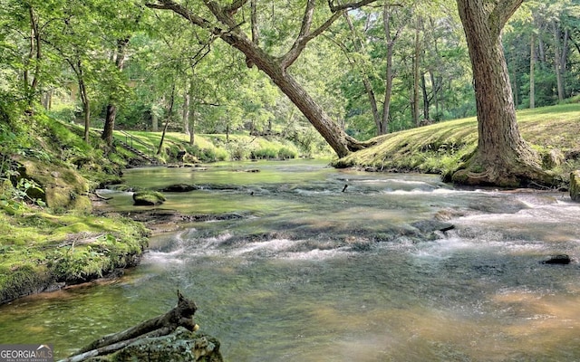 view of local wilderness