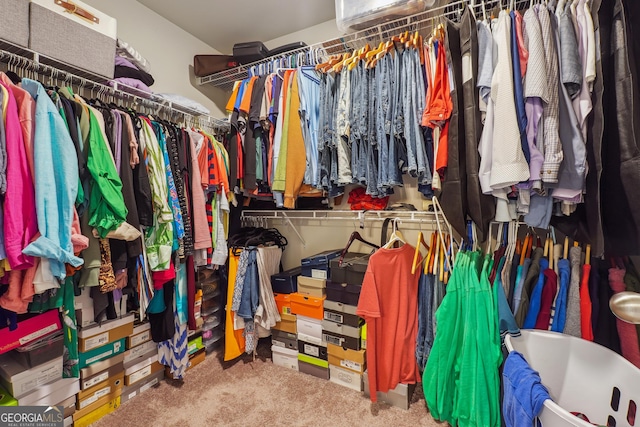 walk in closet with carpet floors