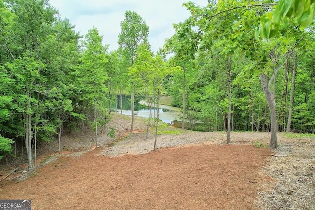 view of yard with a water view