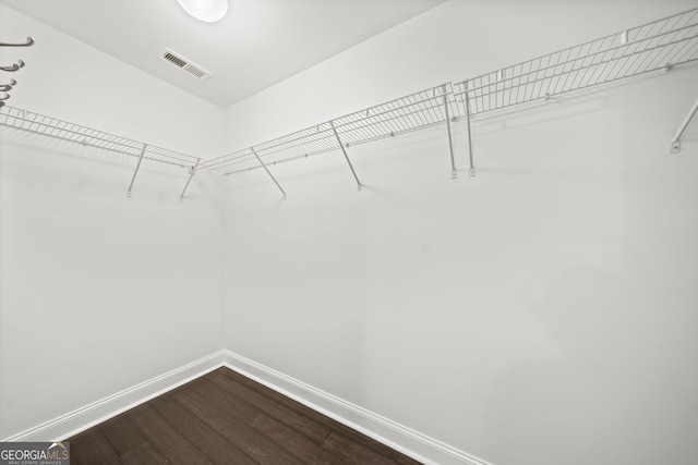 spacious closet featuring wood-type flooring