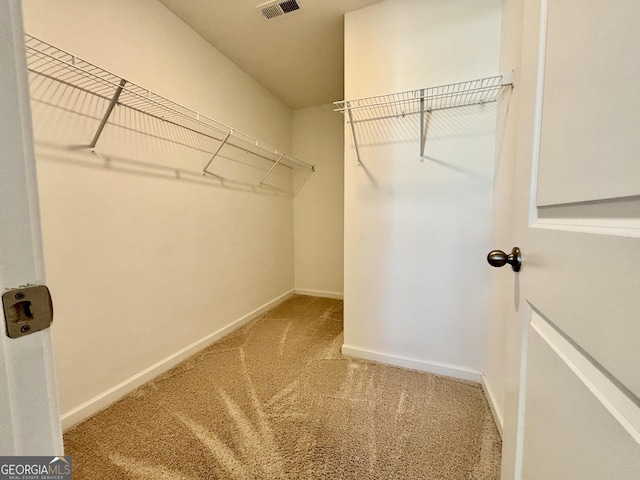 spacious closet with carpet