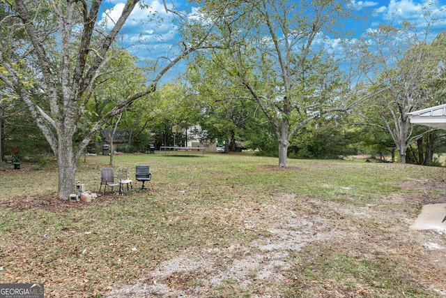 view of yard with a trampoline