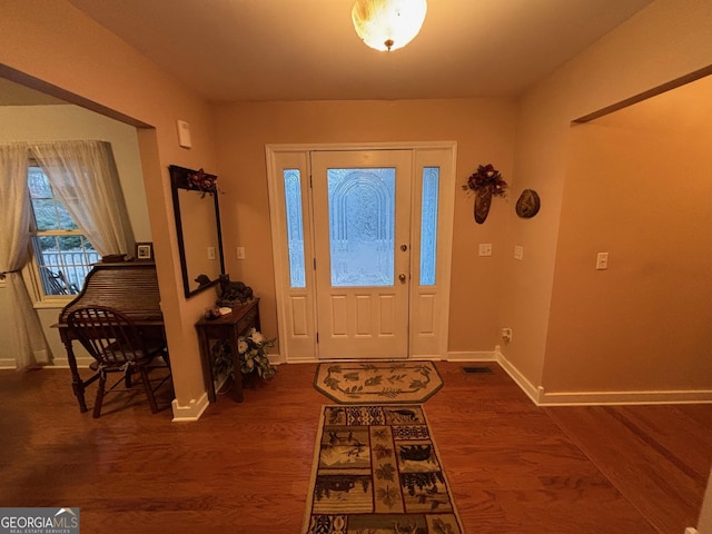 foyer entrance featuring dark wood-type flooring