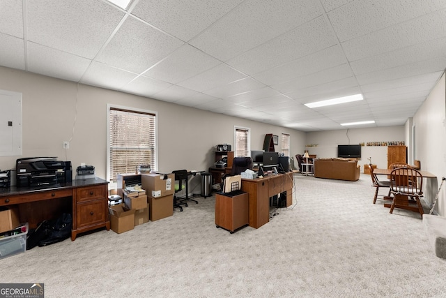 2314 Panorama Dr, Sautee Nacoochee, GA 30571 - home office with a paneled ceiling and light colored carpet