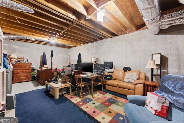2314 Panorama Dr, Sautee Nacoochee, GA 30571 - view of basement
