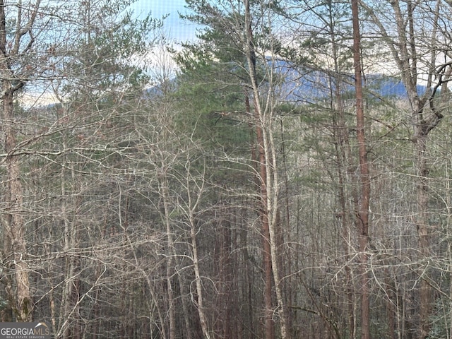 2314 Panorama Dr, Sautee Nacoochee, GA 30571 - view of local wilderness