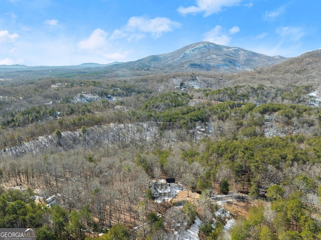 2314 Panorama Dr, Sautee Nacoochee, GA 30571