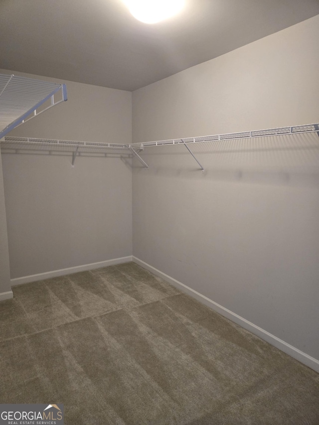 walk in closet with carpet floors