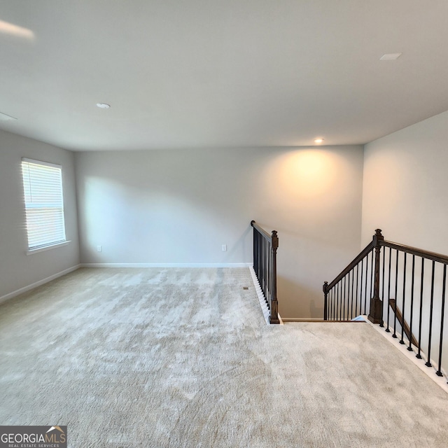 stairway featuring carpet floors