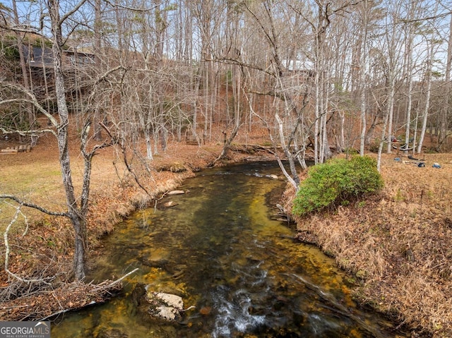 view of local wilderness