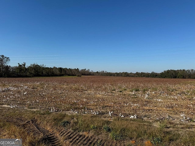 1384 Coleman Chapel Rd, Wadley GA, 30477 land for sale