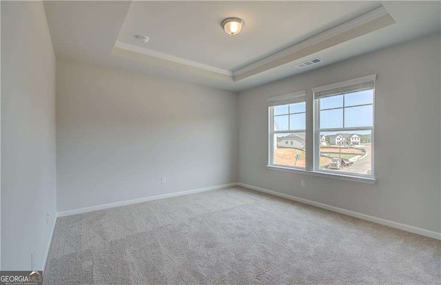 unfurnished room featuring a tray ceiling and light colored carpet