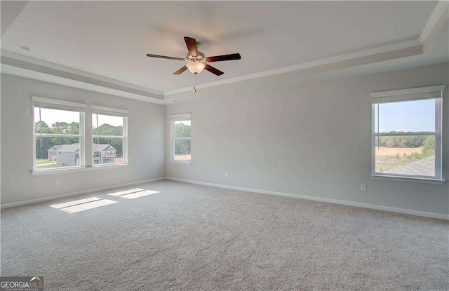 spare room featuring a raised ceiling, crown molding, a healthy amount of sunlight, and light colored carpet