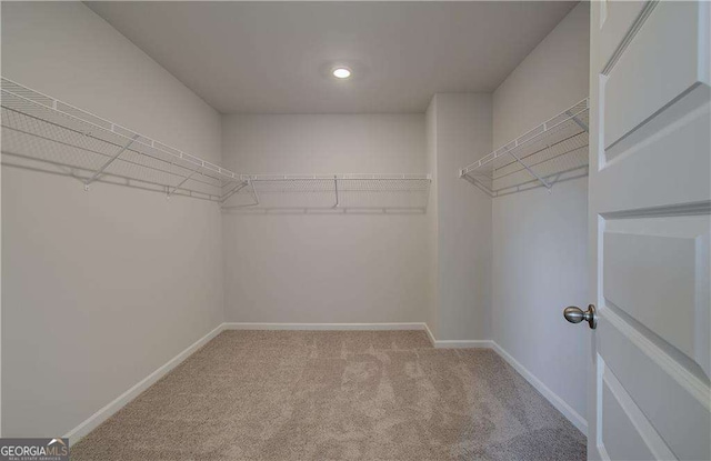 spacious closet featuring carpet