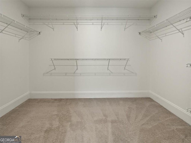 spacious closet featuring carpet floors