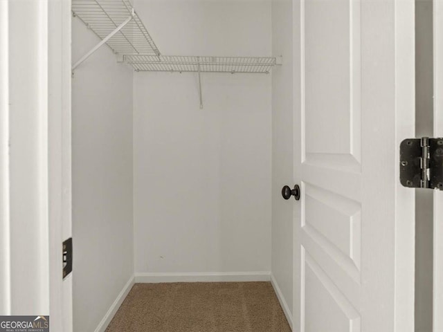 spacious closet with carpet