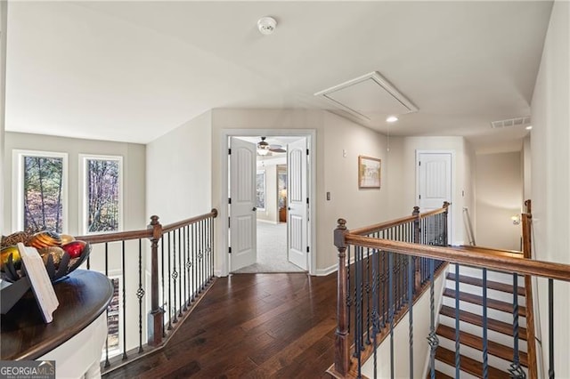 hallway with dark hardwood / wood-style flooring