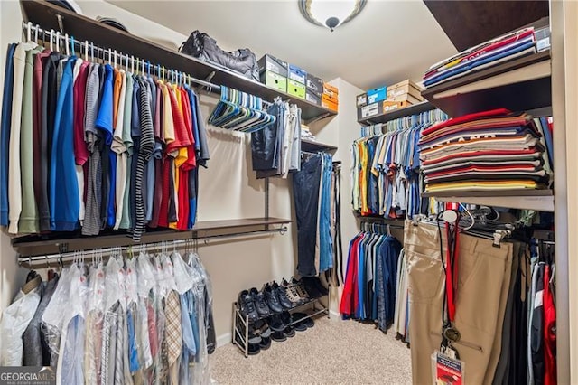 spacious closet featuring carpet floors