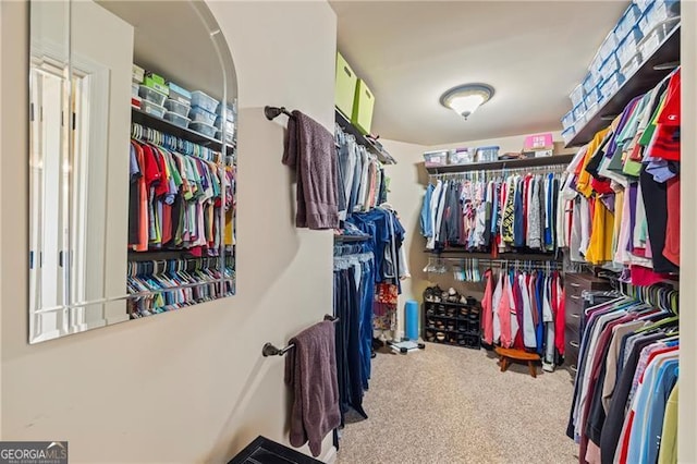 spacious closet with carpet